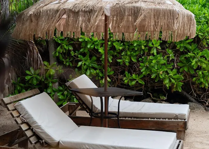 Tropicalito *