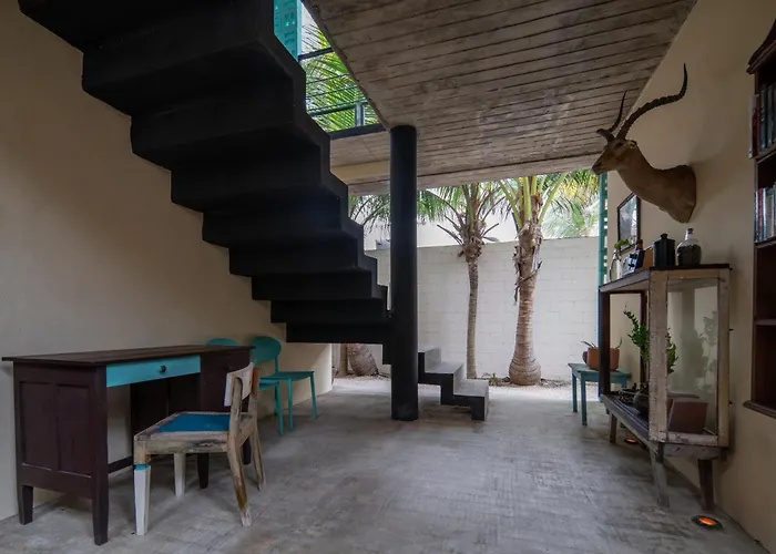 Tropicalito Hotel