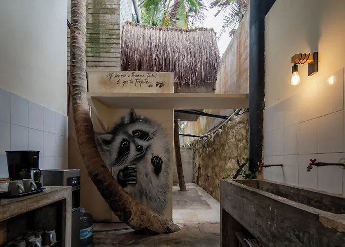 Tropicalito