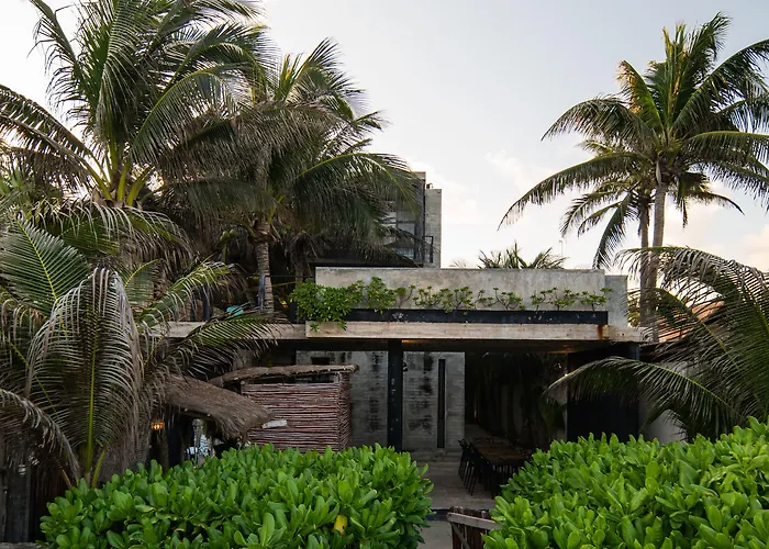 Tropicalito * Tulum Pueblo